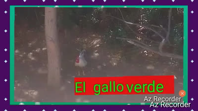 El gallo Berde