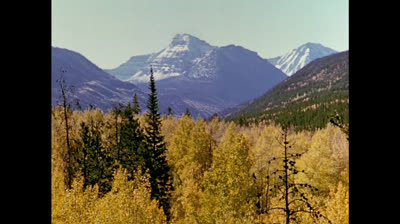 No Coração da Floresta (1957) Dublado
