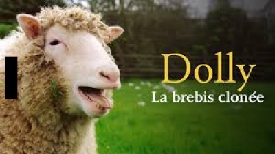 Dolly, la brebis qui a changé le monde