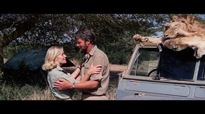 Nata libera  elsa la leonessa 1965