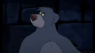 Wild animalz Special edition