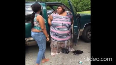 Fight Compilation (10/4/2025)