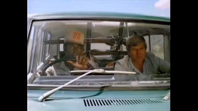 Nata Libera elsa la leonessa 1974 12 La Citt Dei Ragazzi