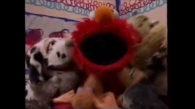 Babies dogs and more