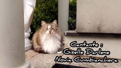 Novia Cumbianchera pies desnudos canta Giselle Romina Castillo Vargas