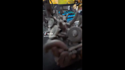 animalitos de plasticos