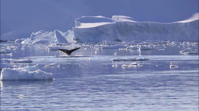 Paysage Antarctique