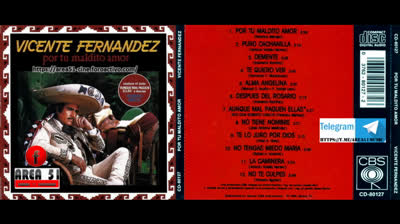 VICENTE FERNANDEZ - POR TU MALDITO AMOR (1989)(WAV)(FLAC)(MP3)