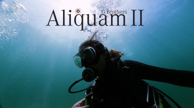 Aliquam II - Documental completo online
