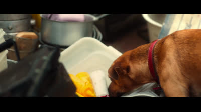 Caramelo.2025.1080p.nacional