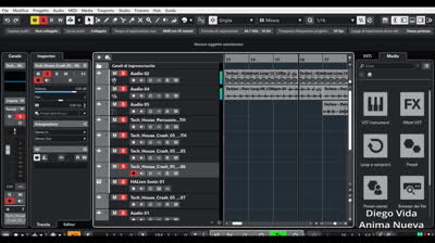 Anima Nueva (house music) by Diego Vida