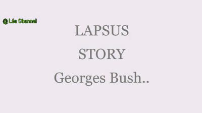 LAPSUS STORY 8 GEORGES BUSH
