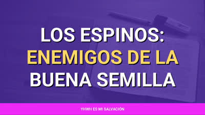 ️Los espinos: Enemigos de la buena semilla | Marcos 4:18-19