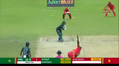 saim ayub v zim odi 100