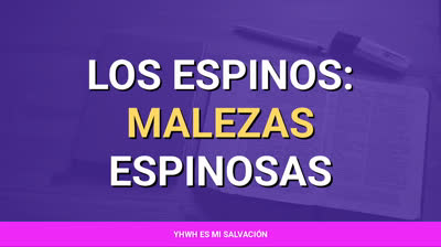 ️Los espinos: Malezas espinosas | Marcos 4:18-19