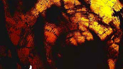 A Bruxa de Blair 2 (2000) O Livro das Sombras Dublado