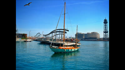 Psychotica-Barcelona ( Barcelona & psychotica photos )