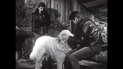 Eps 06  -  La patrouille de douane