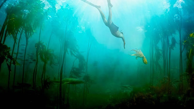 ▶️ᴘʀᴏғᴇssᴏʀ ᴘᴏʟᴠᴏ⭑ᴅᴏᴄᴜᴍᴇɴᴛᴀ́ʀɪᴏ ᴄᴏᴍᴘʟᴇᴛᴏ - ᴇᴍ ʜᴅ