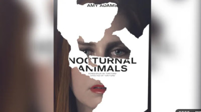 Nocturals animals