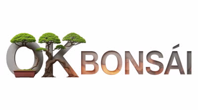 Cancion OkBonsai