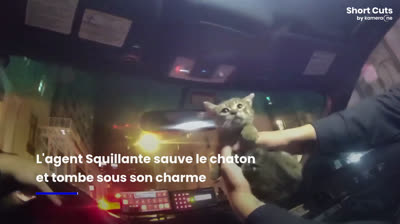 Un policier new-yorkais adopte un chaton après l'avoir sauvé