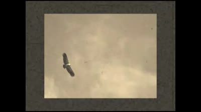 Sonate pour piano seul lades neffous 0511253