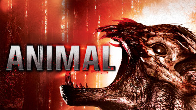 ▶️ᴀɴɪᴍᴀʟ⭑ᴄᴏᴍᴘʟᴇᴛᴏ ᴅᴜʙʟᴀᴅᴏ ᴇᴍ ᴘᴏʀᴛᴜɢᴜᴇ̂s ᴅᴏ ʙʀᴀsɪʟ