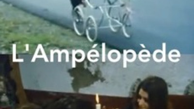 L'Ampélopède 1974 RARE