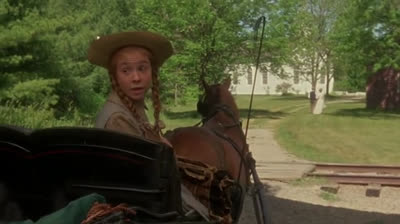 Le bonheur au bout du chemin