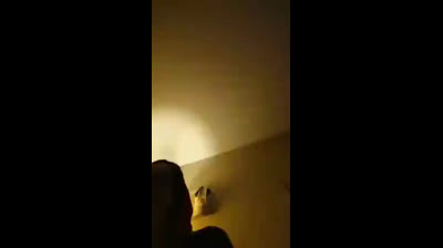 Maryland Woman Colleen Ferreri Commits Suicide On Facebook Live