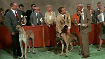 4 Bassets pour un Danois (1966 - VFF)