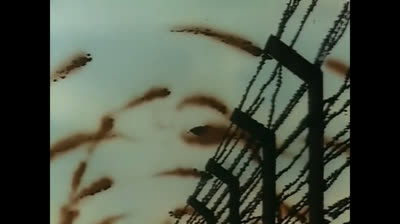 Ashita no jean schultheis sunset maljean willems