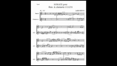 Sonate pour flûte et clarinette lades neffous