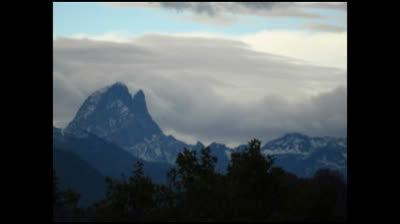 Les silences de novembre lades neffous