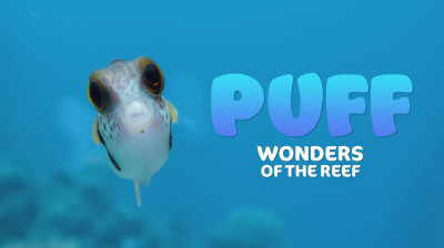 Puff: Wonders of the Reef (2021)