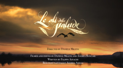 Le Ali della Palude - Vida selvagem dos pântanos italianos ao longo das estações - Documentário