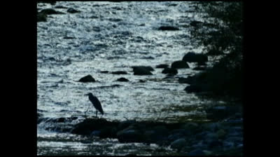 EP RHODES BANSURI lades neffous 131125