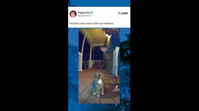 OVERCAT - STARCRAFT CRAZY