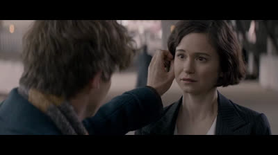 Animais Fantásticos   dublado