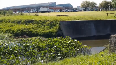 YO SOLO SE QUE ESTA NOCHE (CUMBIA)