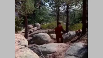 AdC - épisode 03 - Un étrange chasseur