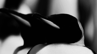 mode u™ "moda universal"