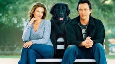 Procura-se um Amor que Goste de Cachorros (2005)