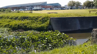 Novia Cumbianchera Yo sólo sé que esta noche canta Giselle Romina Castillo Vargas seudónimos Giselle Darlene novia Cumbianchera