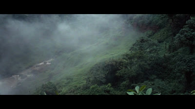 TARZAN IL SIGNORE DELLE SCIMMIE