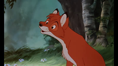 O Cão e a Raposa [1981]