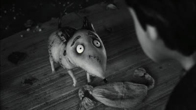 ( Mél; ✶).. / Frankenwexnie - Español Latino