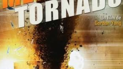 face a la tornade (2011)