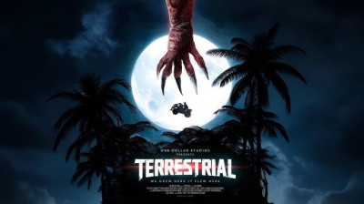Terrestrial 2025